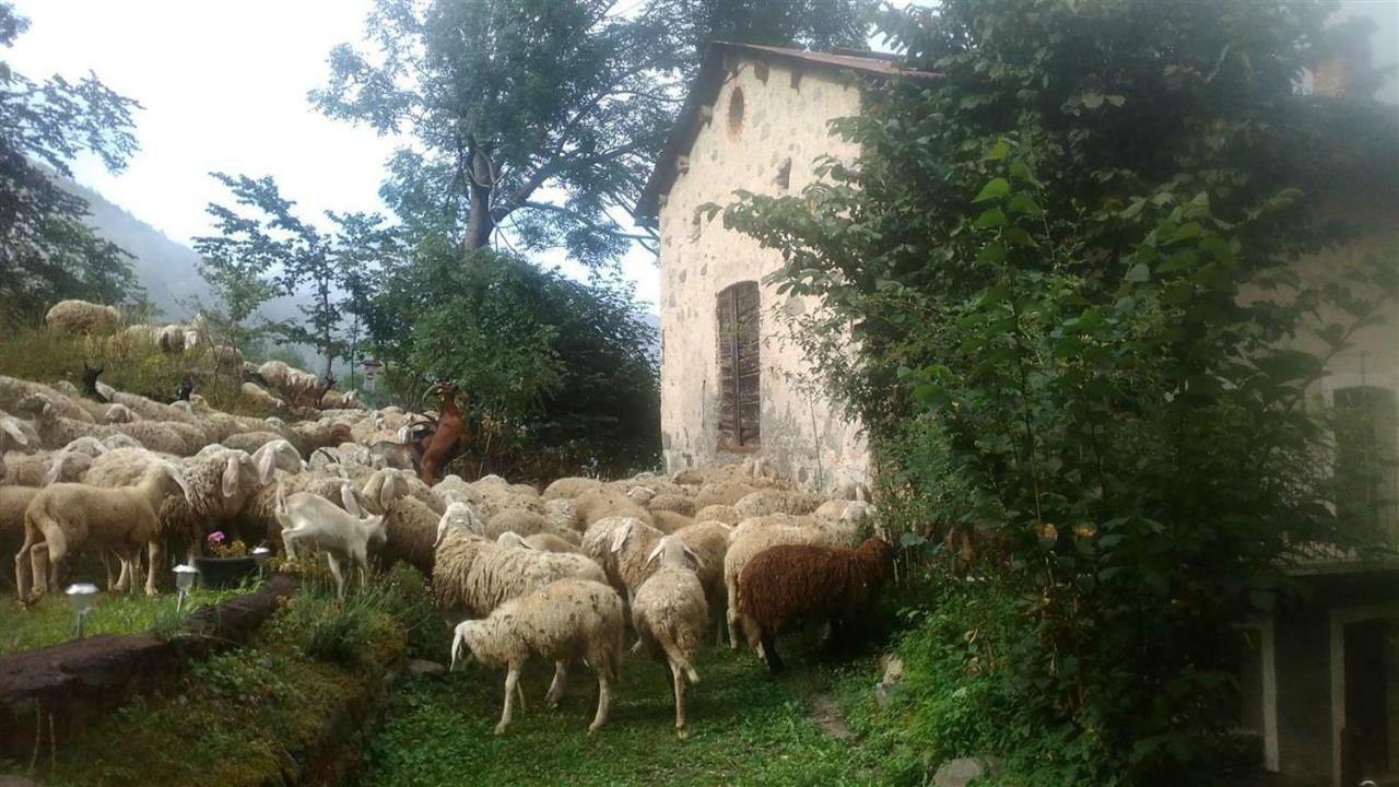 B&B L'Abric - Centro Storico Di Limonetto Limone Piemonte Ngoại thất bức ảnh